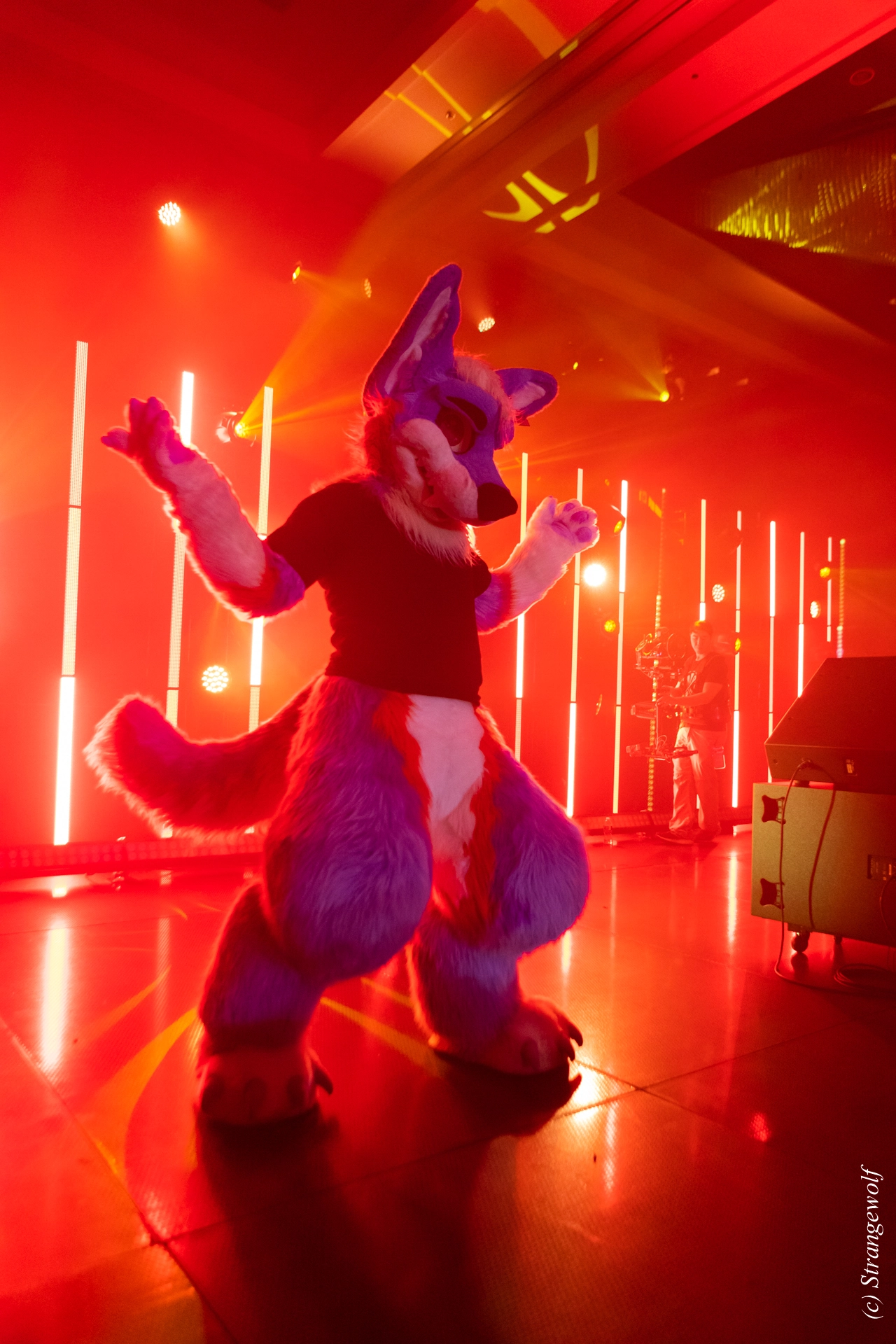 full image 1R3A5251-lr19t.jpg