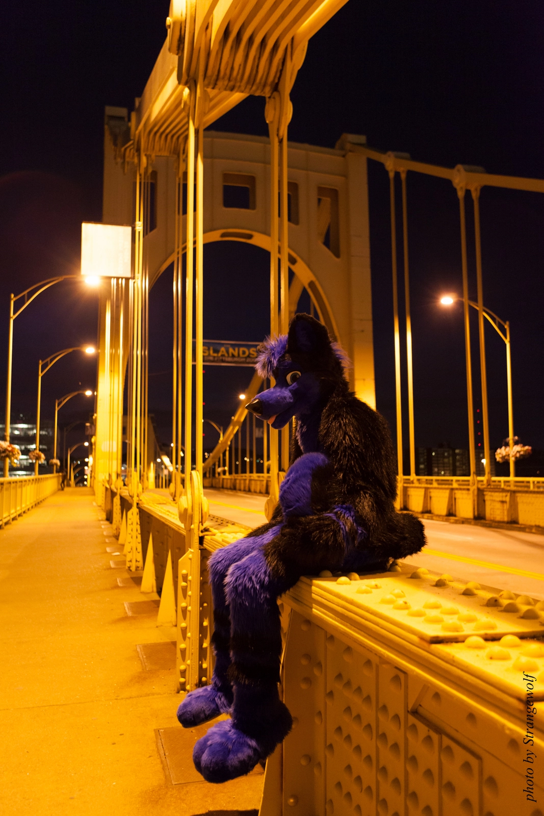 full image IMG_8488-lr16t.jpg