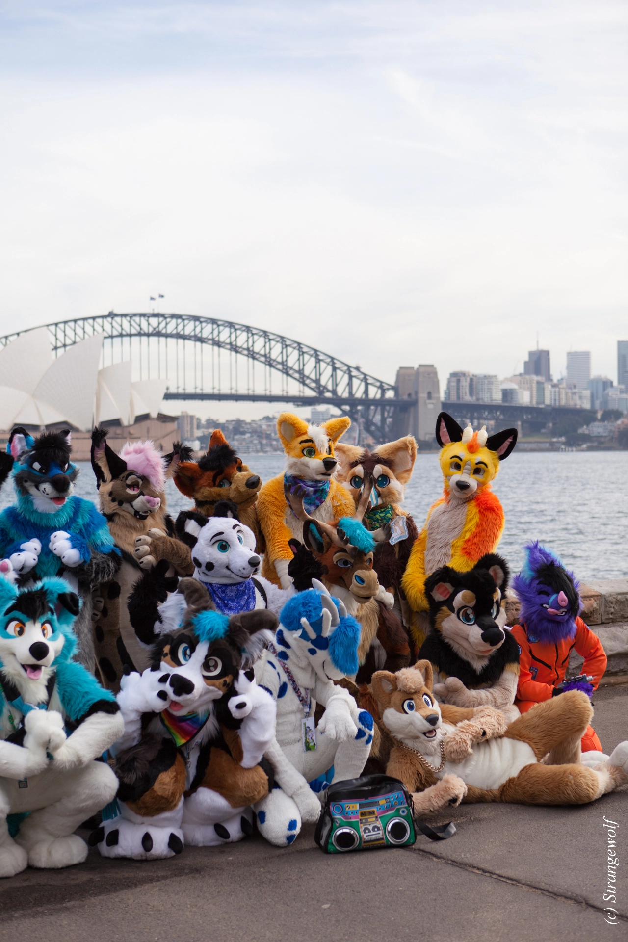 full image IMG_4275-lr19t.jpg