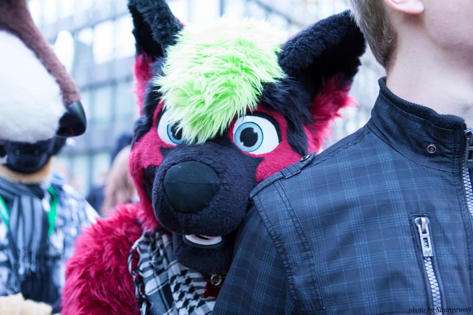 full image IMG_5348-lr16t.jpg