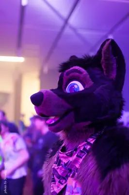 IMG_1214-lr16t.jpg of FC/FC2017/