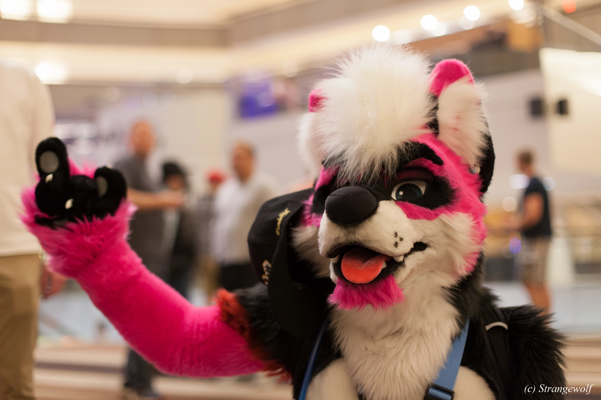 full image IMG_1414-lr19t.jpg