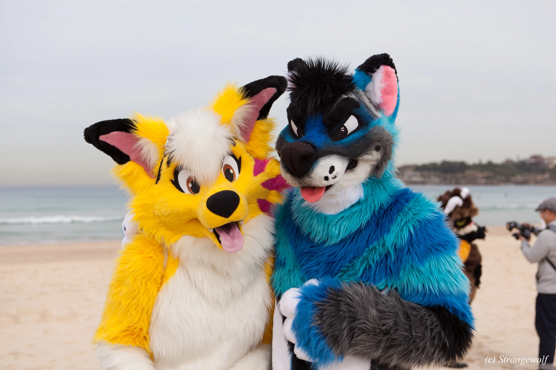 full image IMG_4475-lr19t.jpg