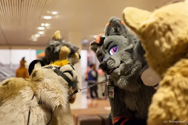 IMG_9109-lr19t.jpg of NFC/NFC2019/