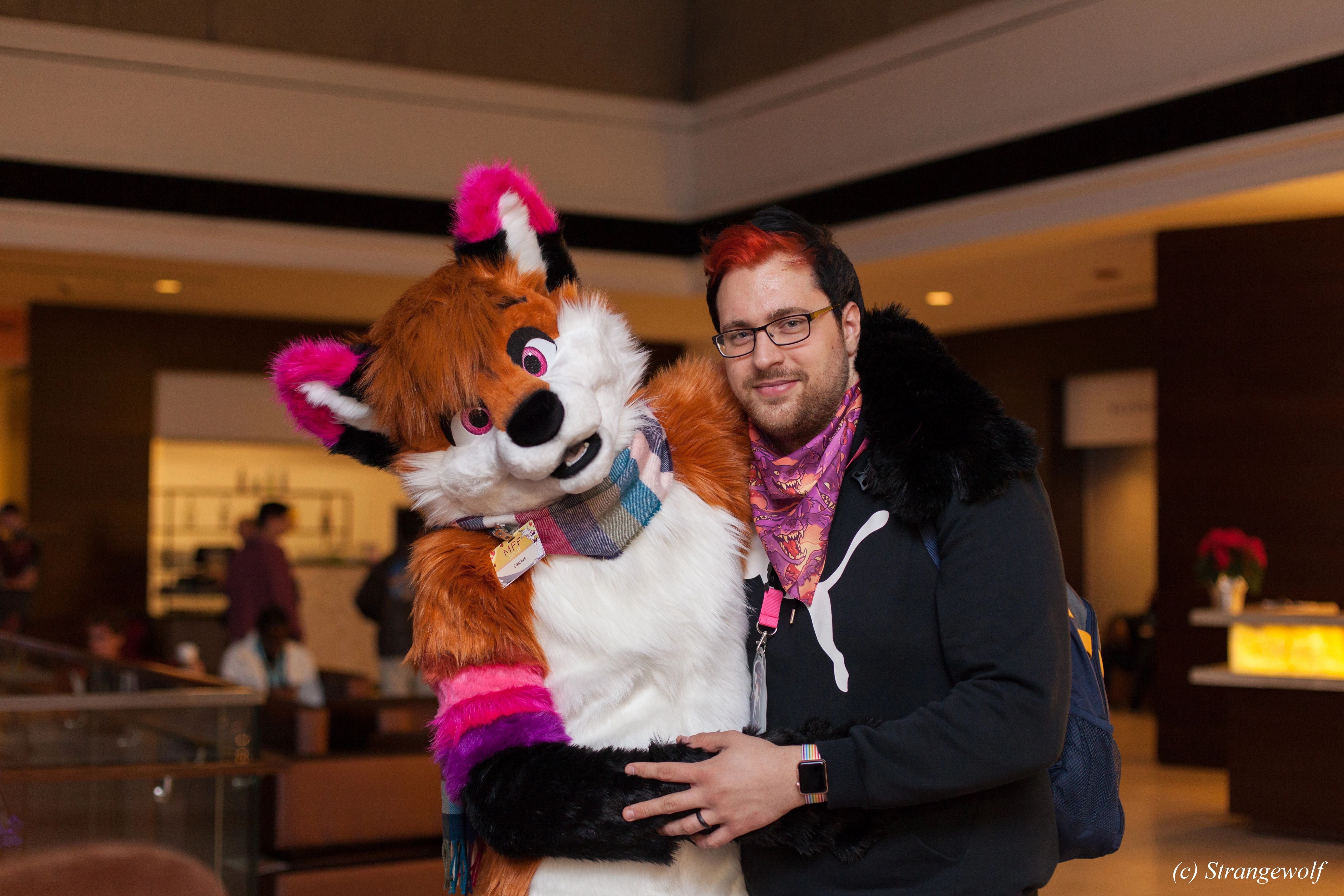 full image IMG_7311-lr.jpg
