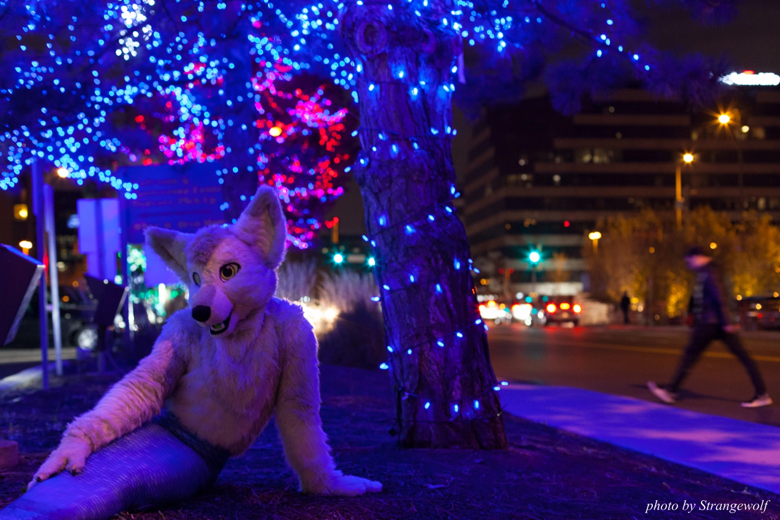 full image IMG_0772-lr16t.jpg