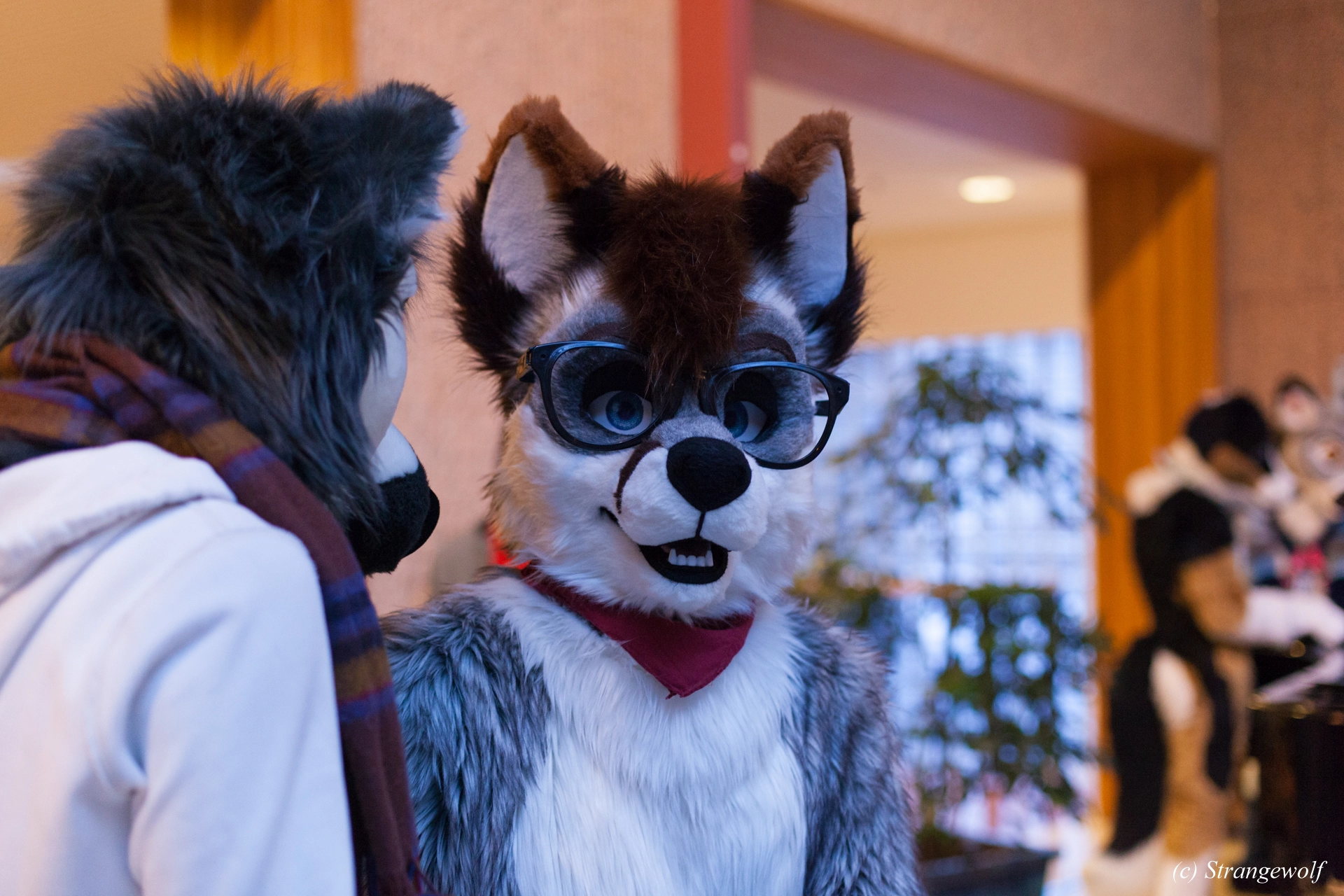 full image IMG_9582-lr19t.jpg