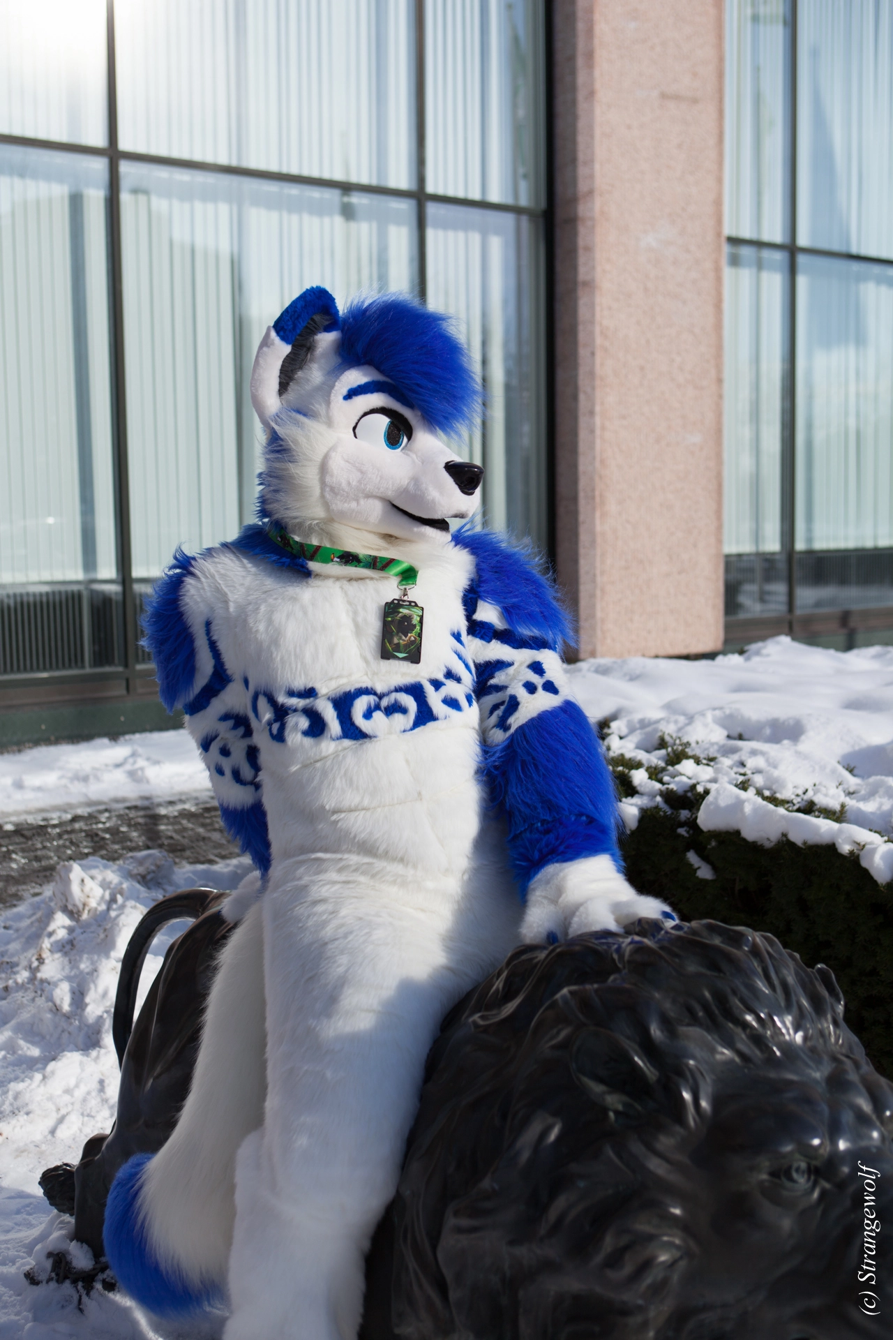 full image IMG_9732-lr19t.jpg