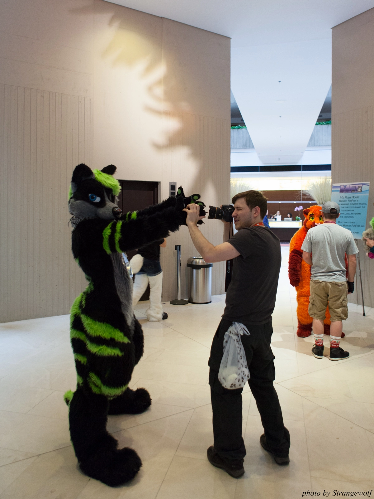 full image IMG_5857-lr16t.jpg