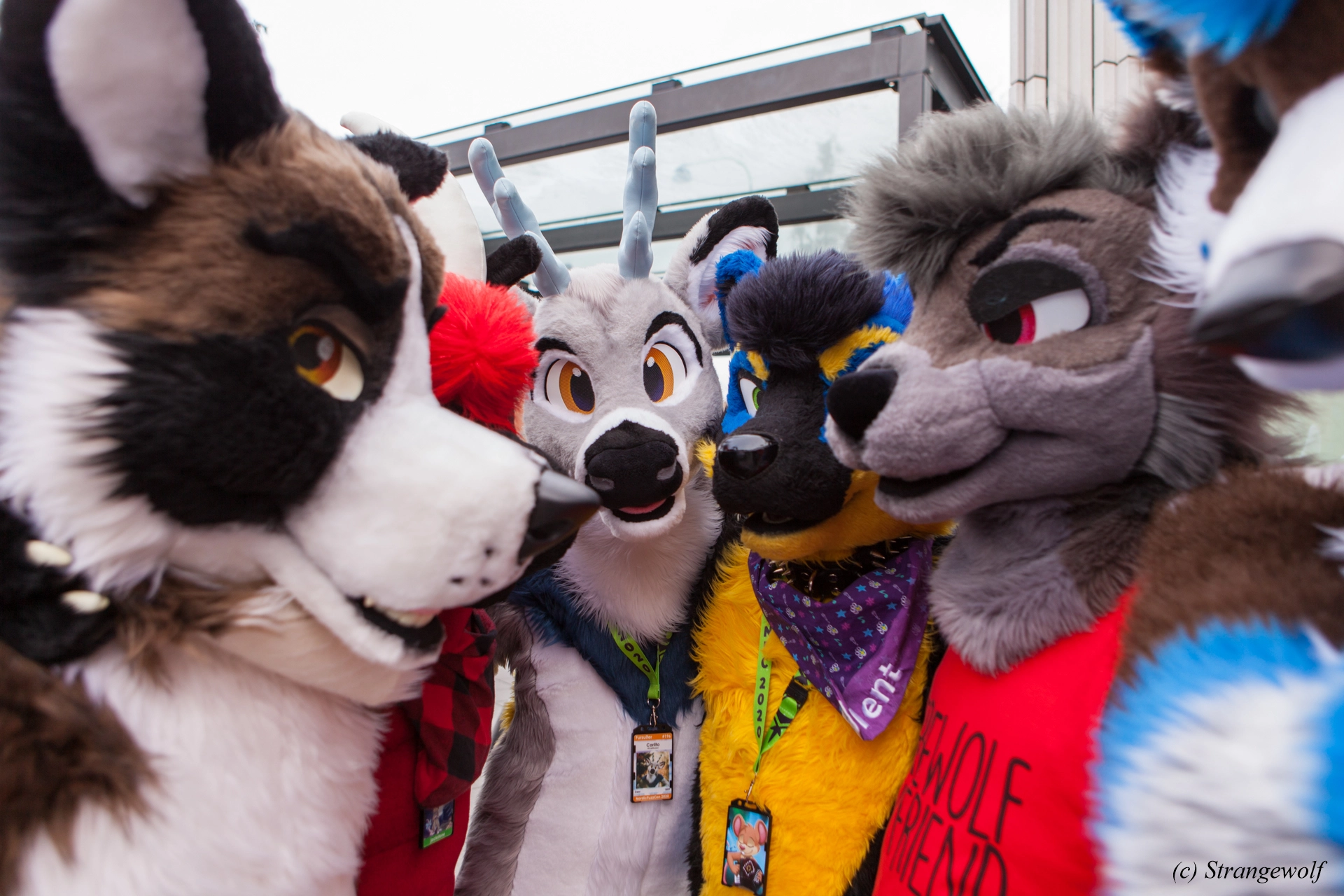 full image IMG_9012-lr19t.jpg