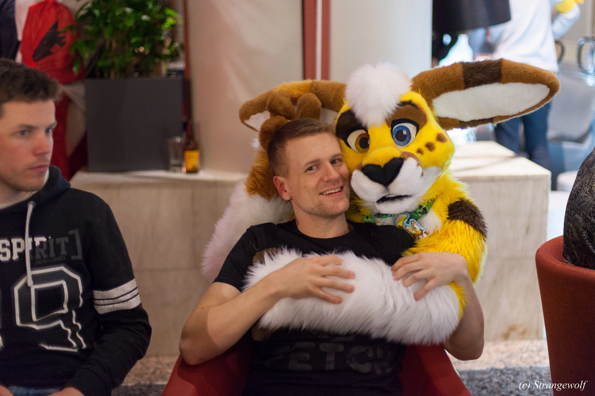 full image IMG_0941-lr19t.jpg