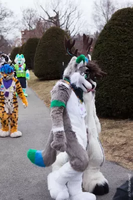 IMG_3117-lr19t.jpg of ANE/ANE2022/Suitwalk/