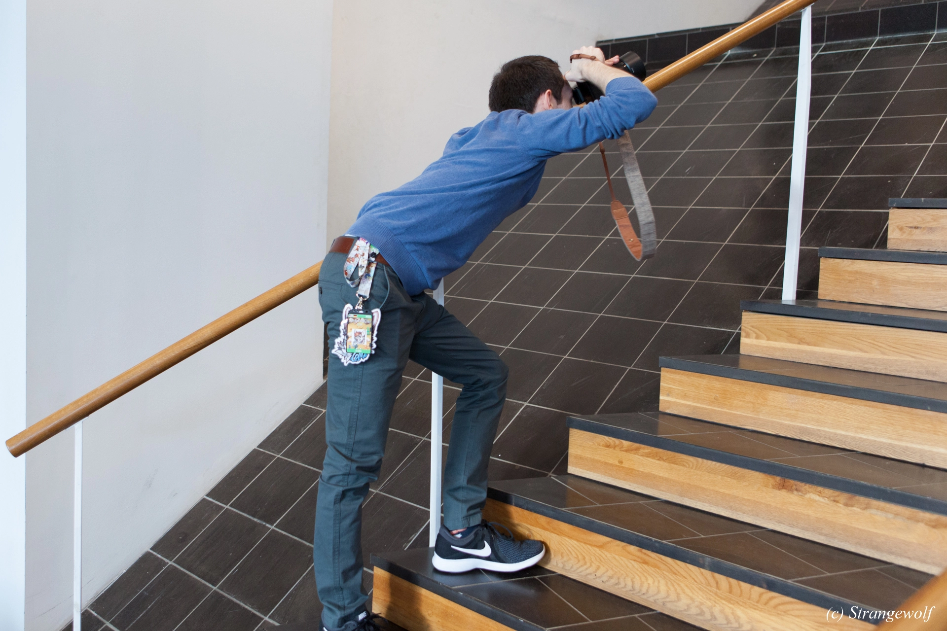 full image IMG_8771-lr19t.jpg