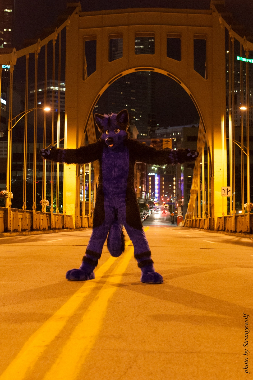 full image IMG_8504-lr16t-2.jpg