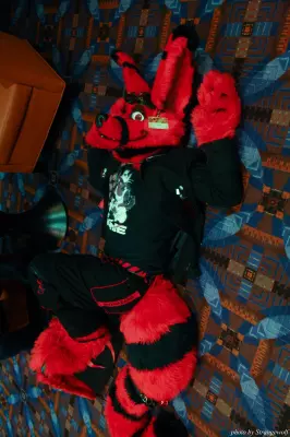 IMG_0406-lr.jpg of MFF/MFF2013/
