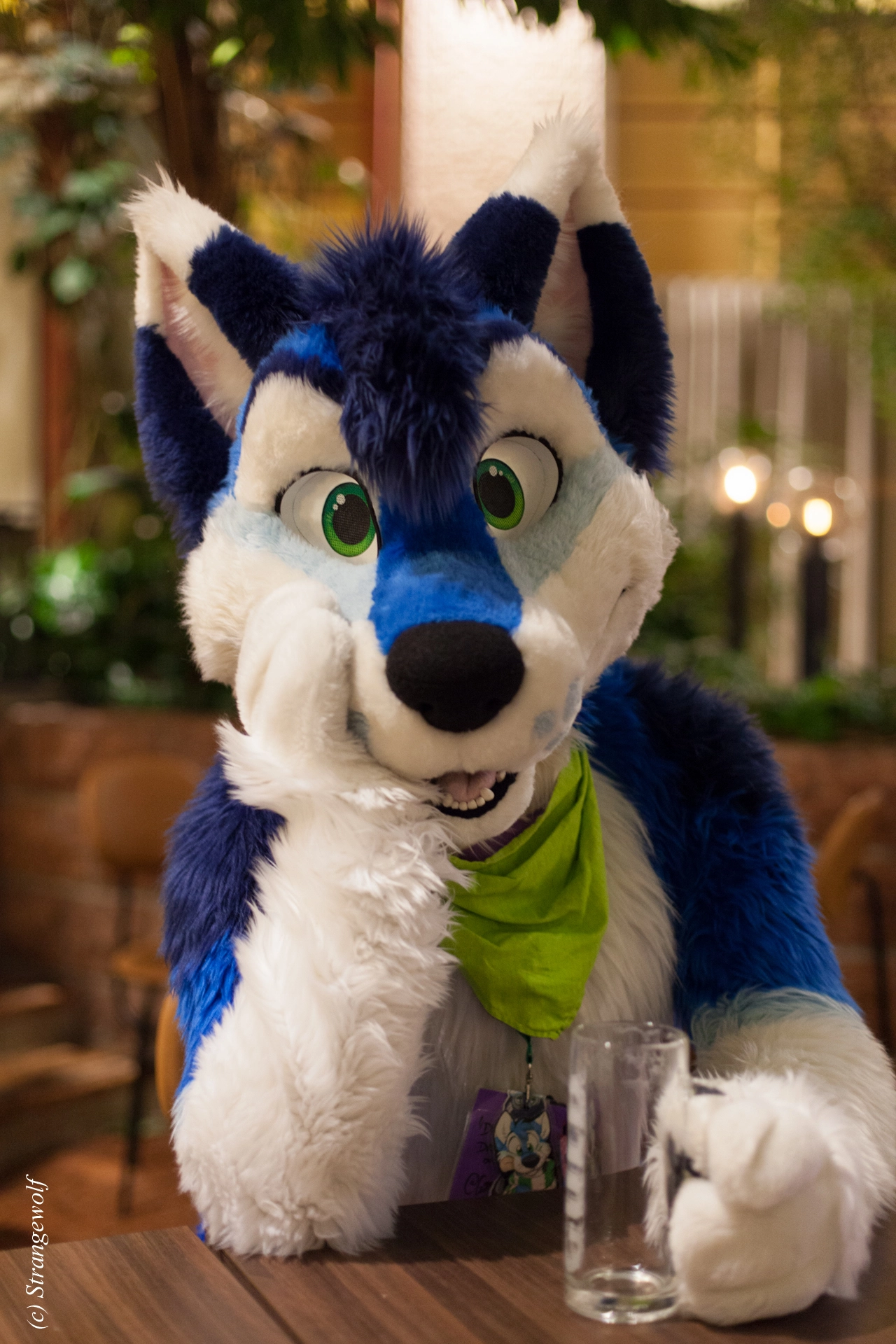 full image IMG_9006-lr19t.jpg