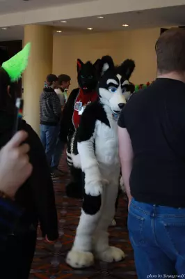 IMG_0569-lr.jpg of MFF/MFF2013/