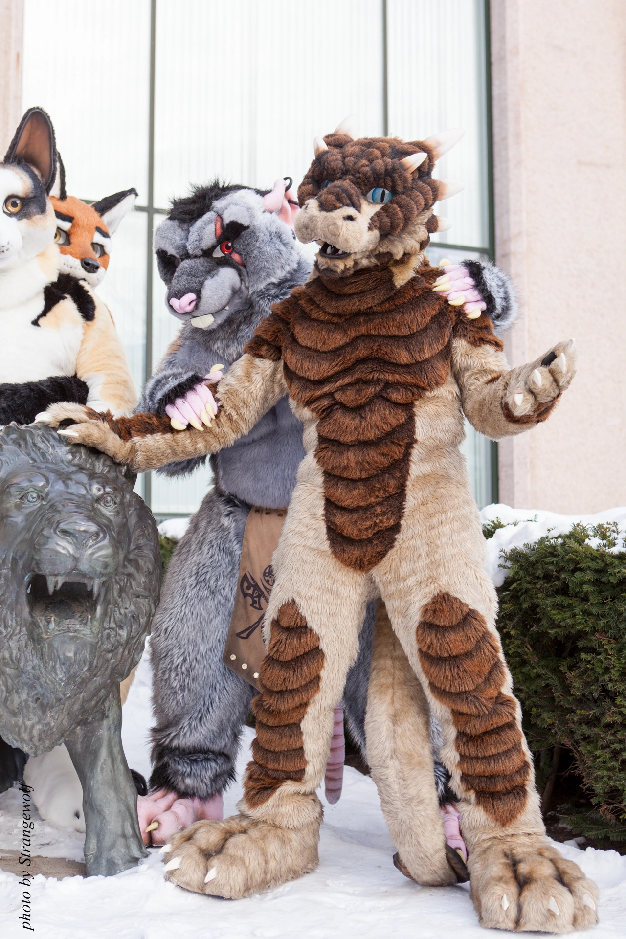 full image IMG_0323-lr19t.jpg