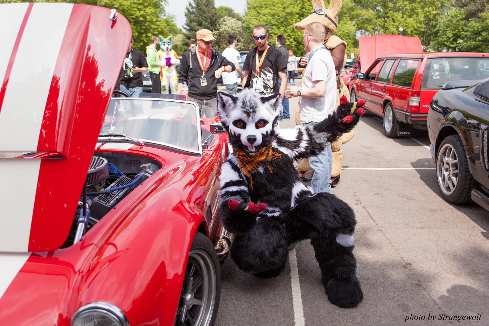 full image IMG_7201-lr16t.jpg