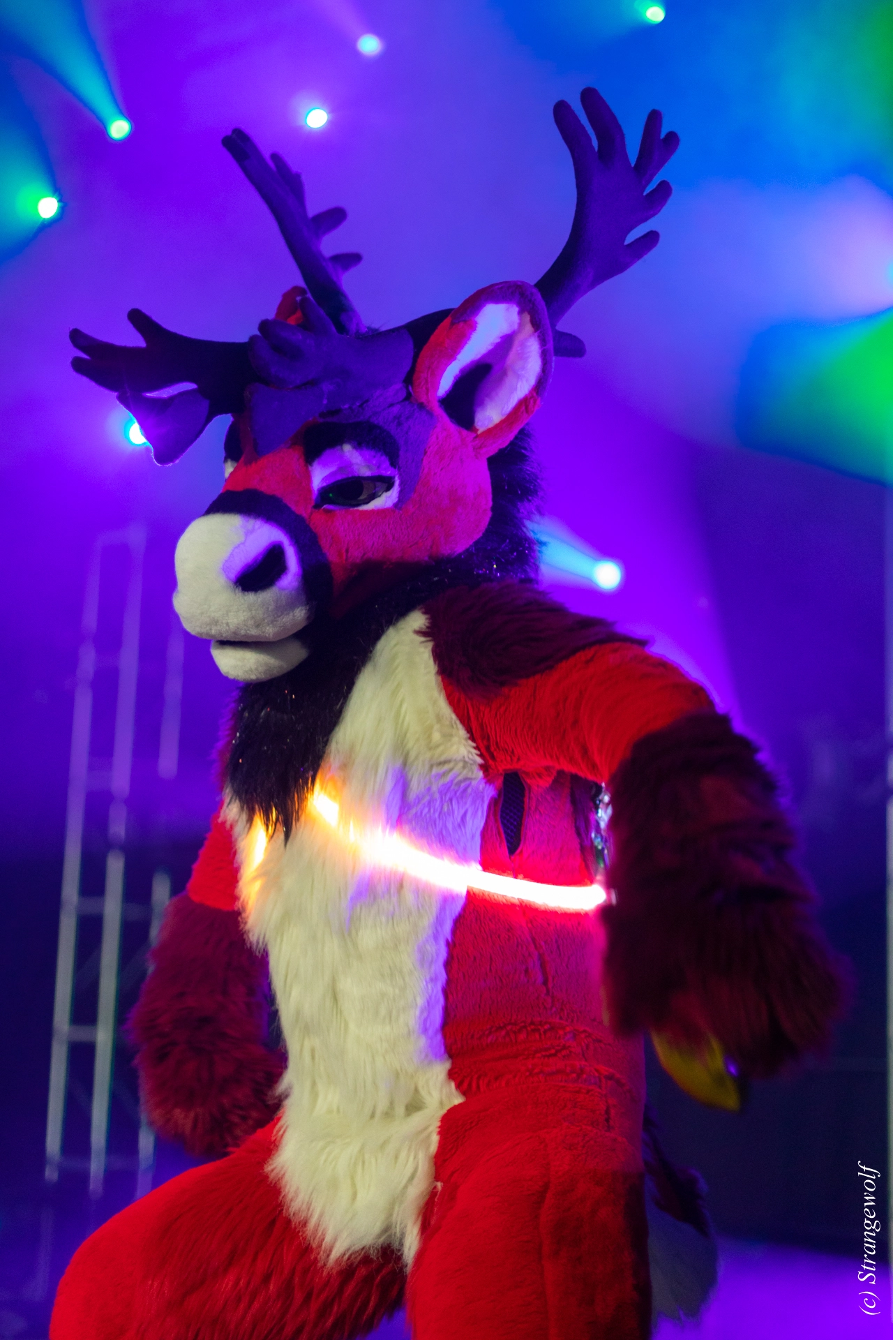 full image 1R3A0600-lr19t.jpg