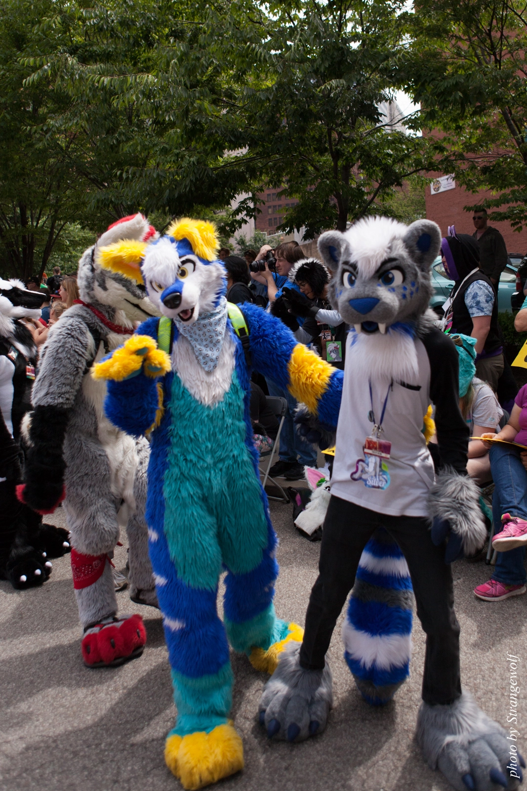 full image IMG_8061-lr16t.jpg