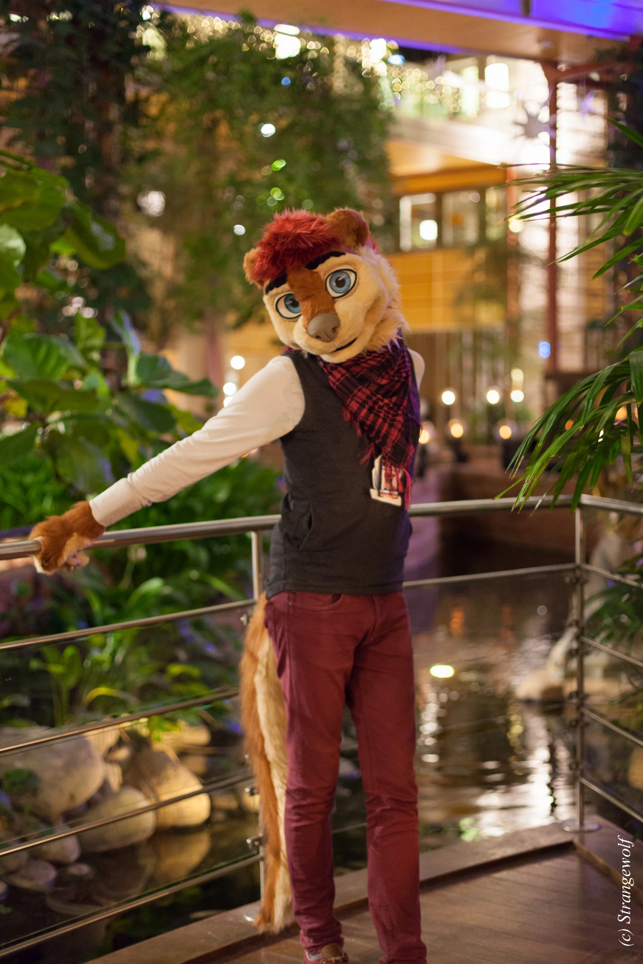 full image IMG_9892-lr19t.jpg