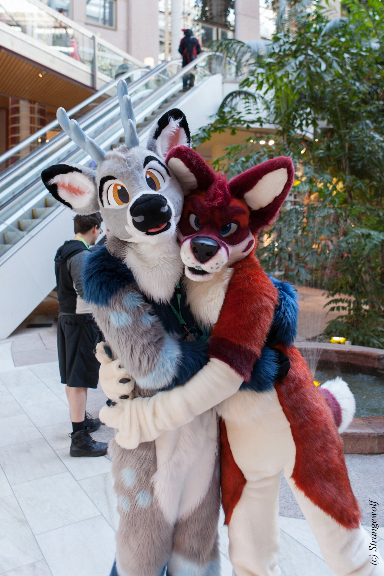 full image IMG_8720-lr19t.jpg