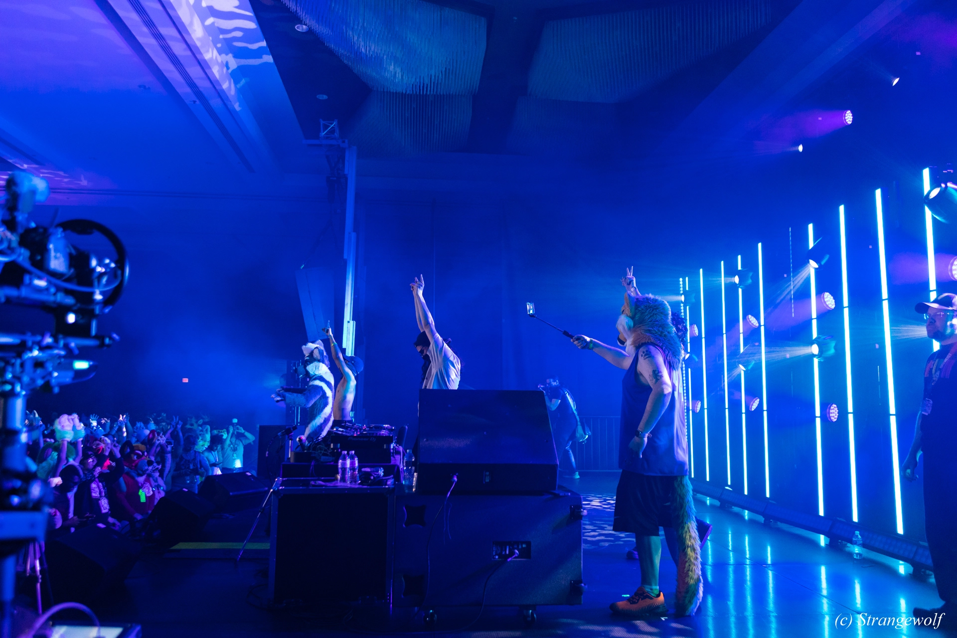 full image 1R3A4999-lr19t.jpg