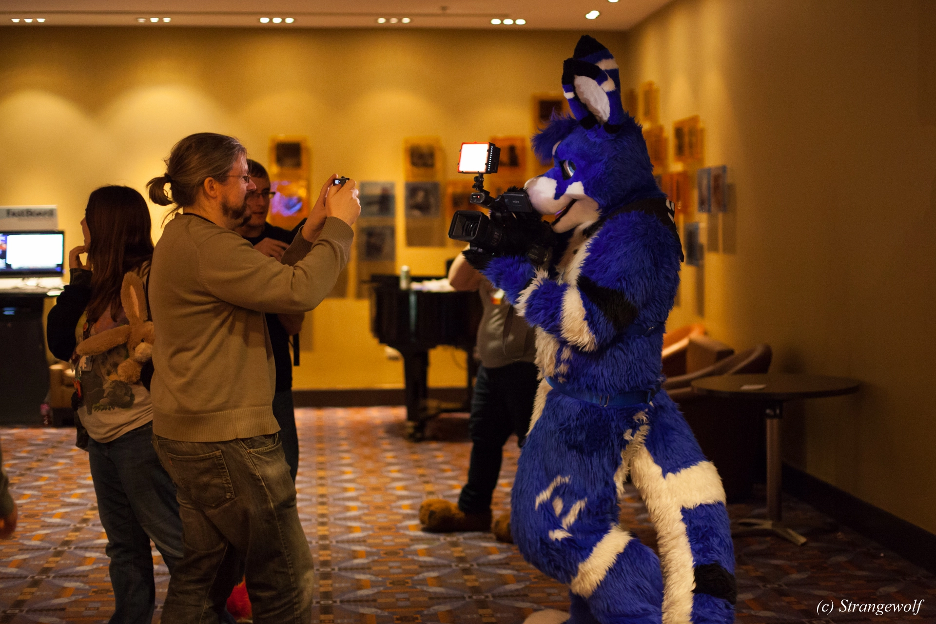 full image IMG_6622-lr19t.jpg
