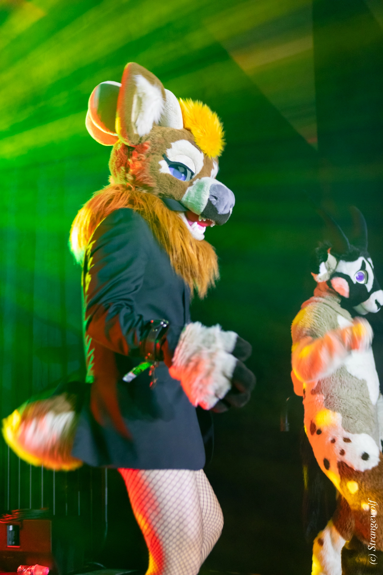 full image 1R3A4683-lr19t.jpg