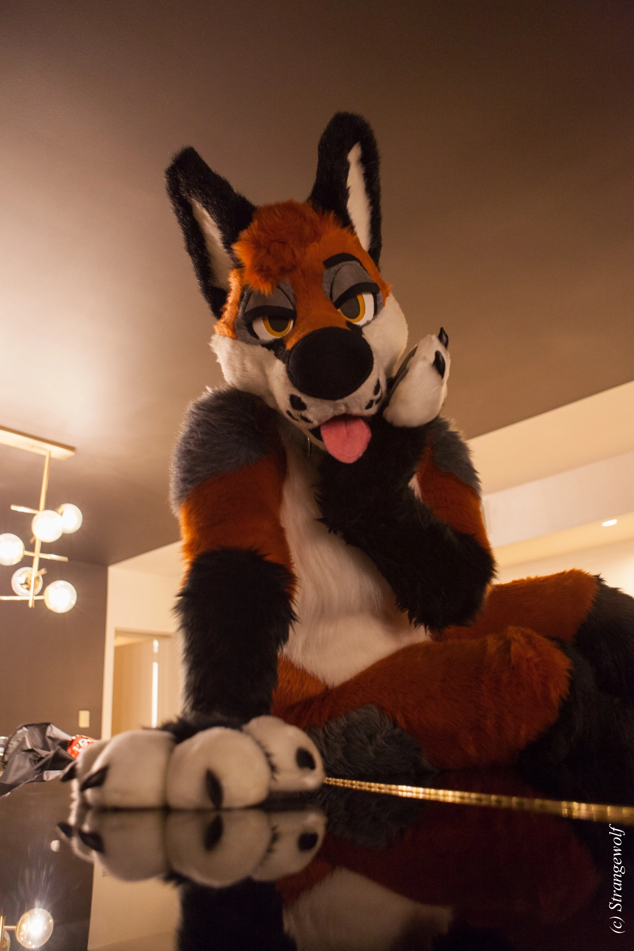 full image IMG_2239-lr19t.jpg