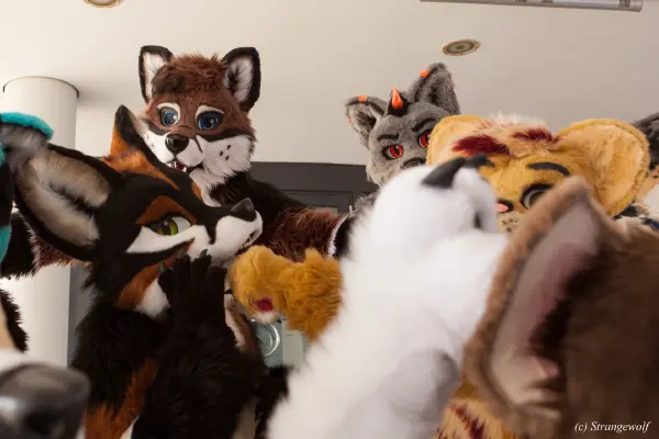 IMG_4925-lr19t.jpg of EF/EF24/Fotoshoot-Neonfurs/