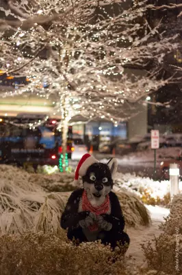 IMG_0829-lr16t.jpg of MFF/MFF2016/