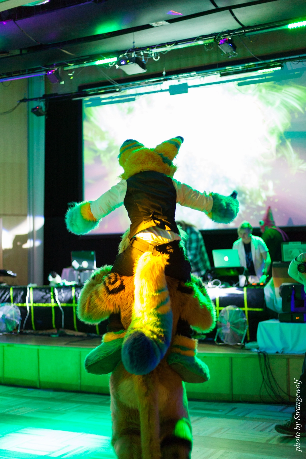 full image IMG_2235-lr16t.jpg