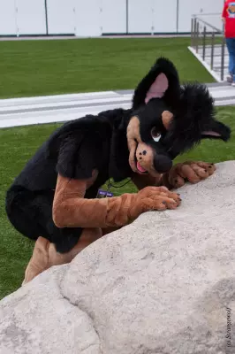 IMG_2981-lr19t.jpg of BLFC/2018/