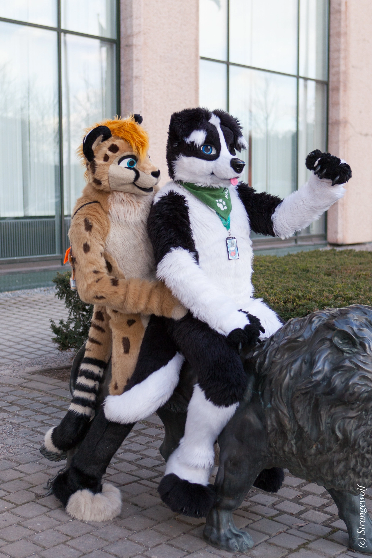 full image IMG_8795-lr19t.jpg