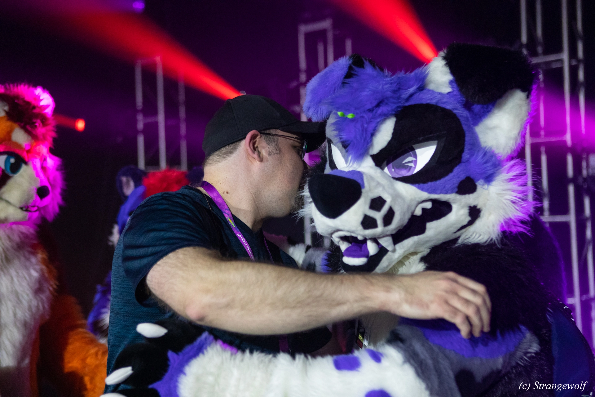 full image 1R3A0925-lr19t.jpg