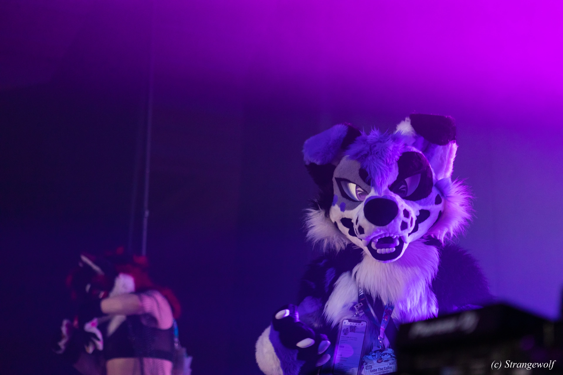 full image 1R3A5450-lr19t.jpg