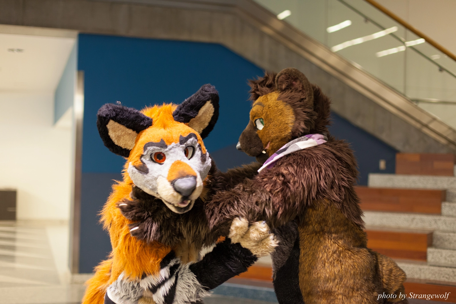 full image IMG_1183-lr16t.jpg