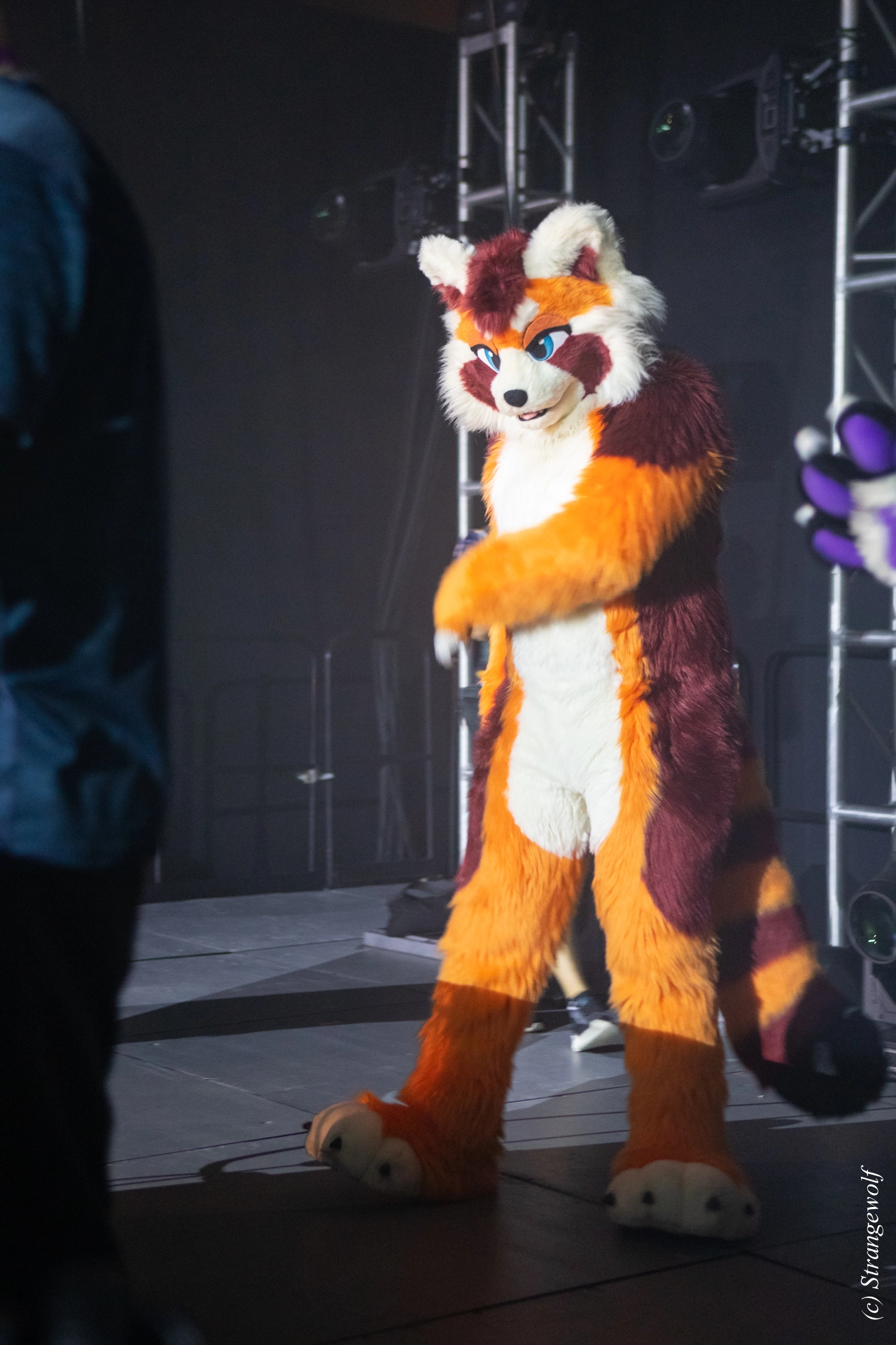 full image 1R3A0856-lr19t.jpg