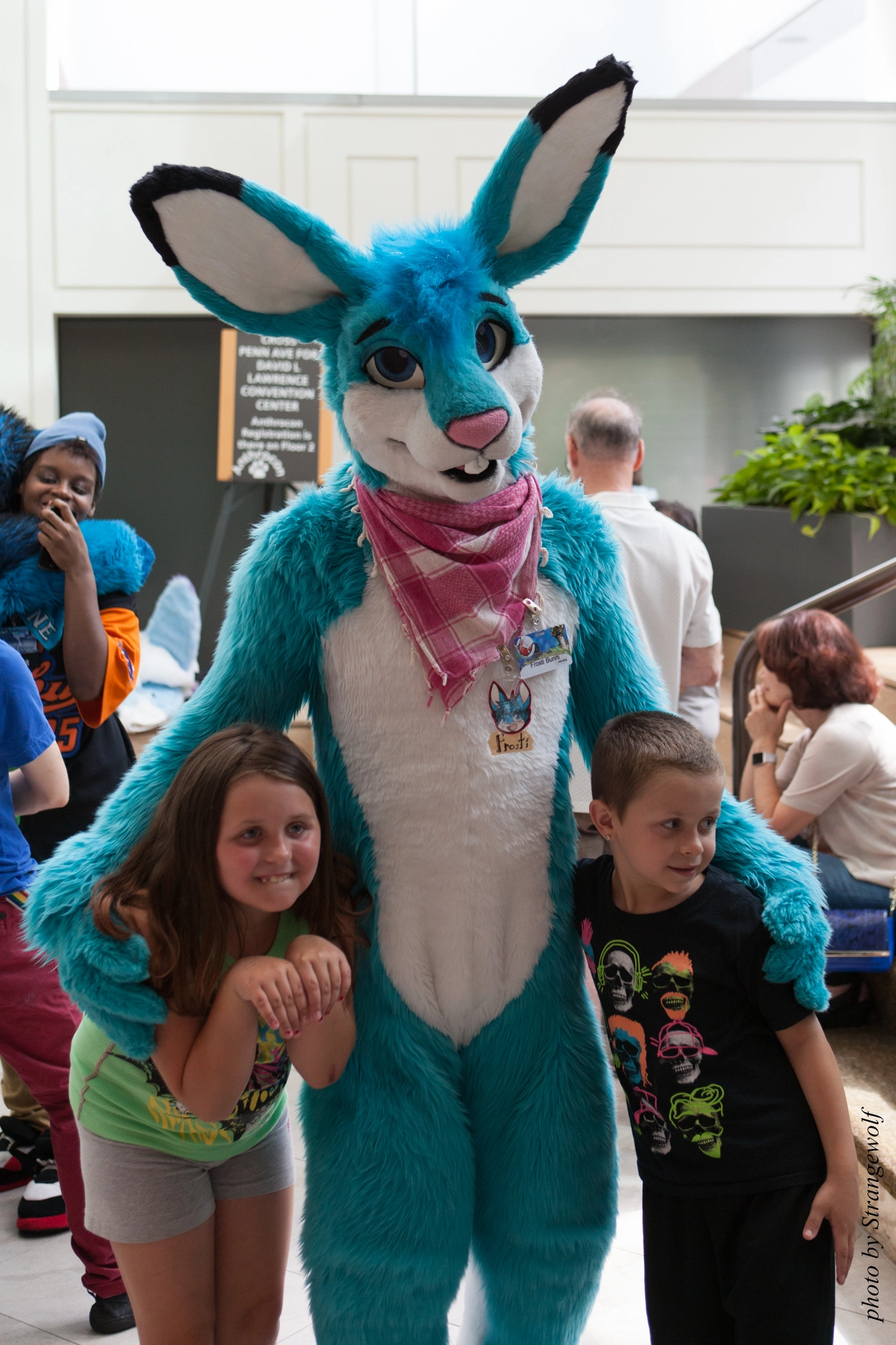 full image IMG_4648-lr19t.jpg