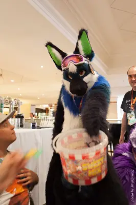 IMG_7520-lr16t.jpg of CFZ/CFZ2016/