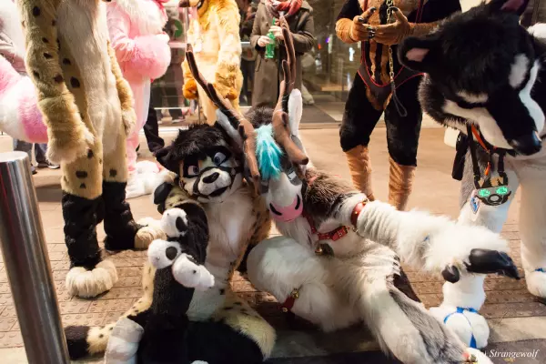 IMG_6887-lr19t.jpg of MFF/MFF2018/