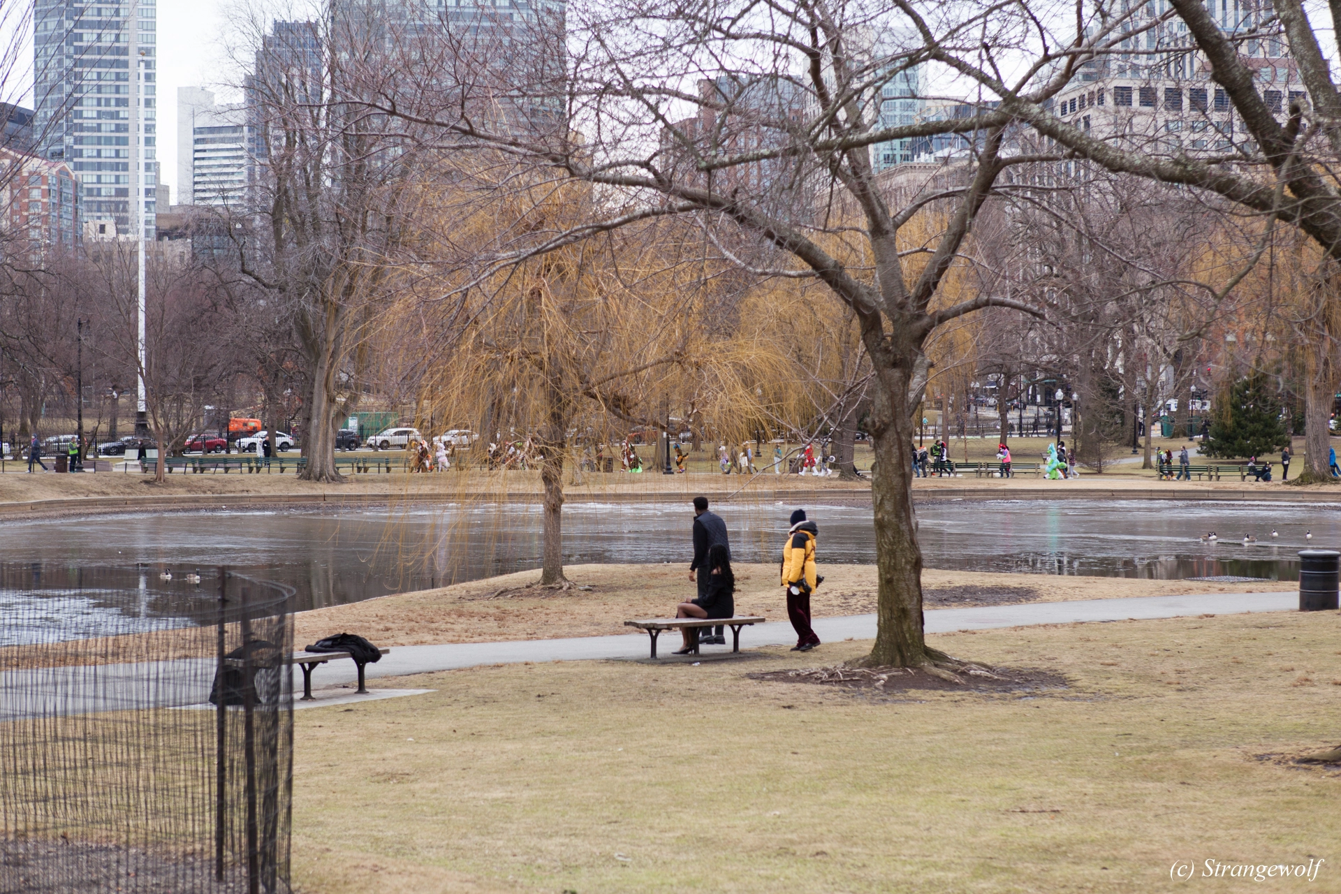 full image IMG_3094-lr19t.jpg