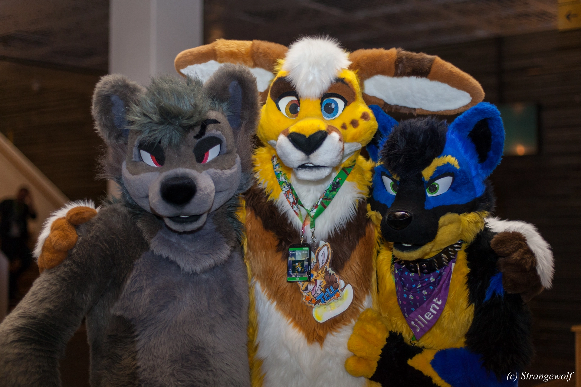 full image IMG_9185-lr19t.jpg