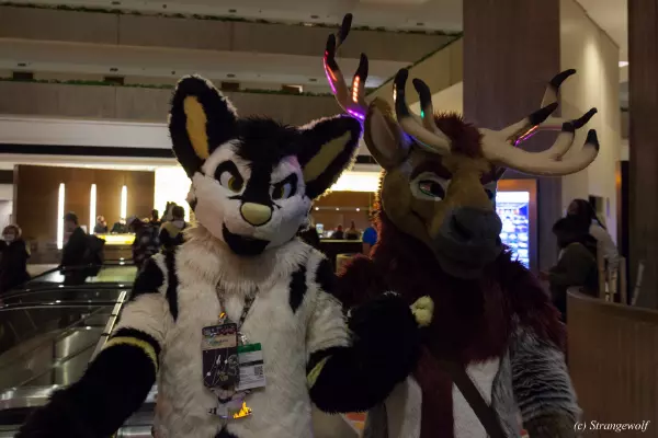 IMG_1126-lr19t.jpg of MFF/MFF2021/