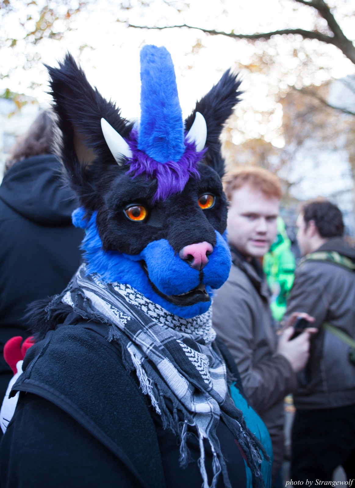 full image IMG_5295-lr16t.jpg