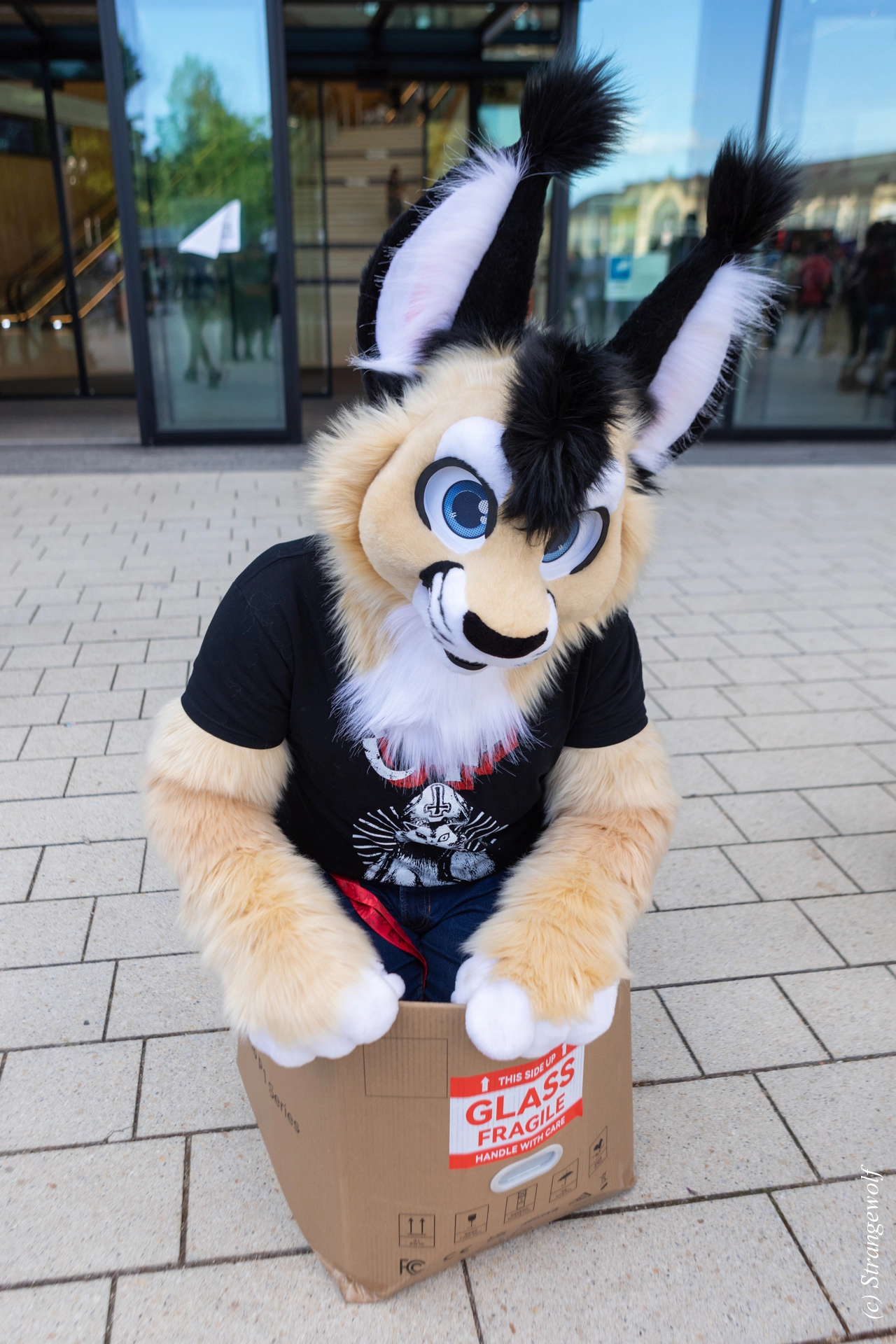 full image 1R3A9292-lr19t.jpg