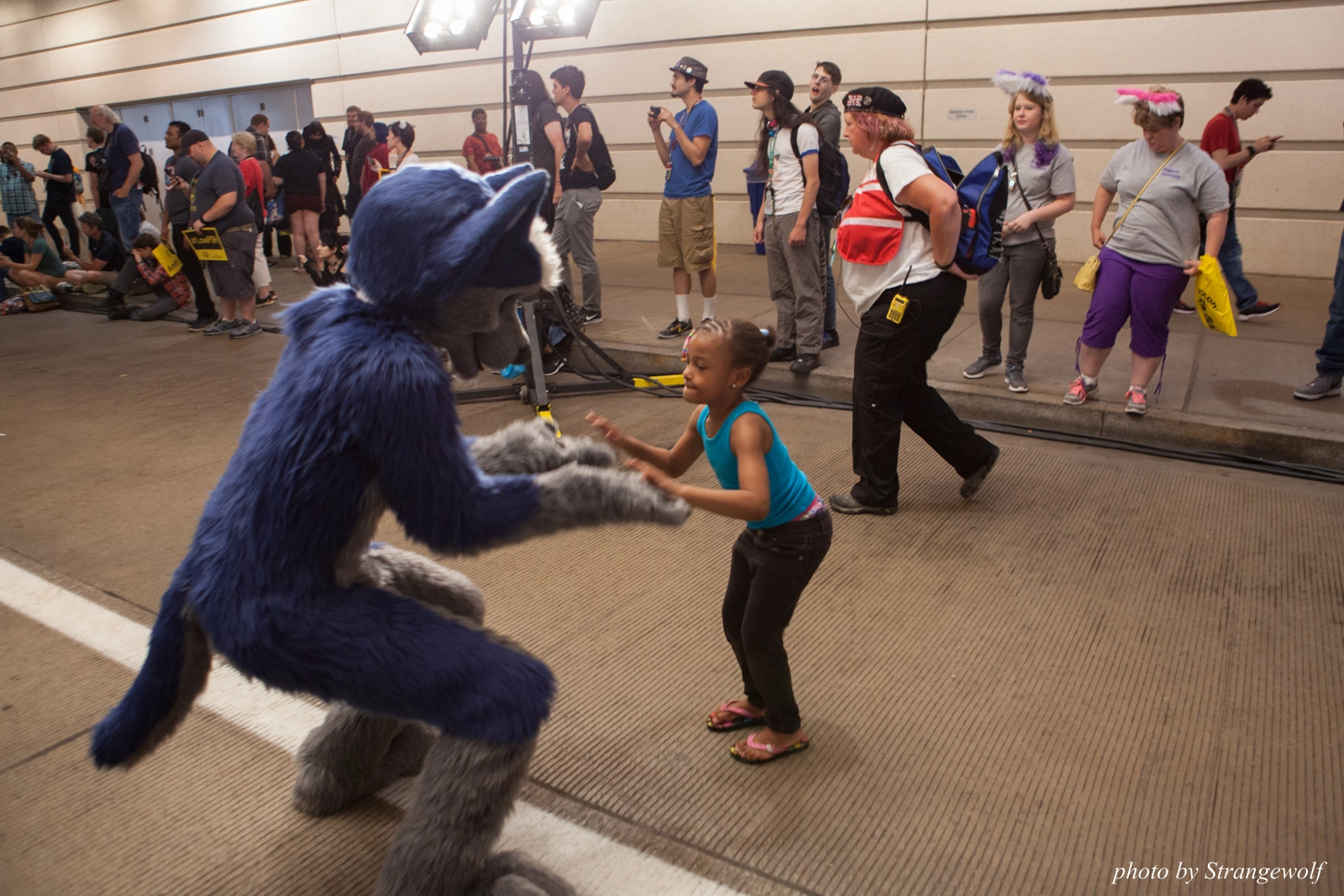 full image IMG_8081-lr16t.jpg