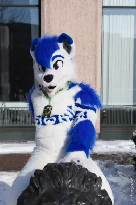 IMG_9718-lr19t.jpg of NFC/NFC2018/